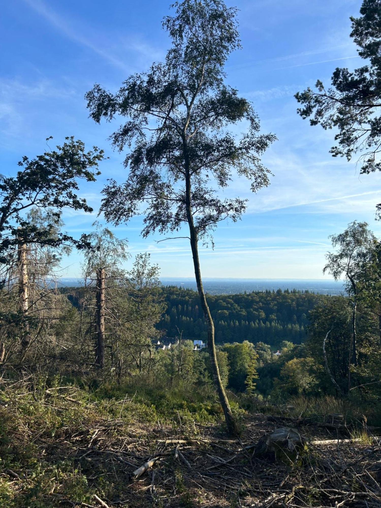 Апартаменты Auszeit Am Toensberg Oerlinghausen Teutoburger Wald Экстерьер фото
